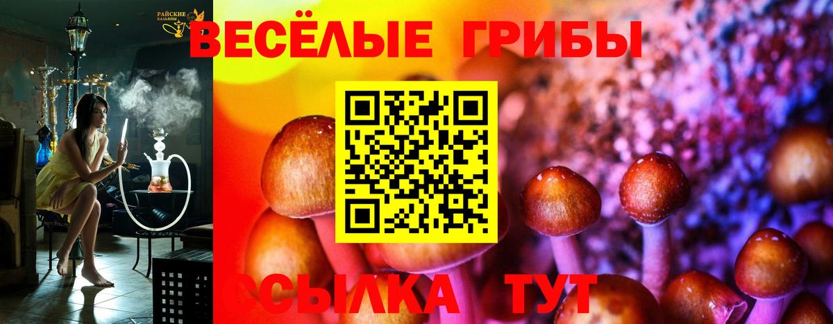 Галлюциногенные грибы мицелий Калуга